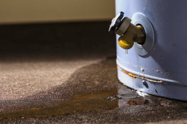 Best Mold removal after water damage  in Hopkins, SC