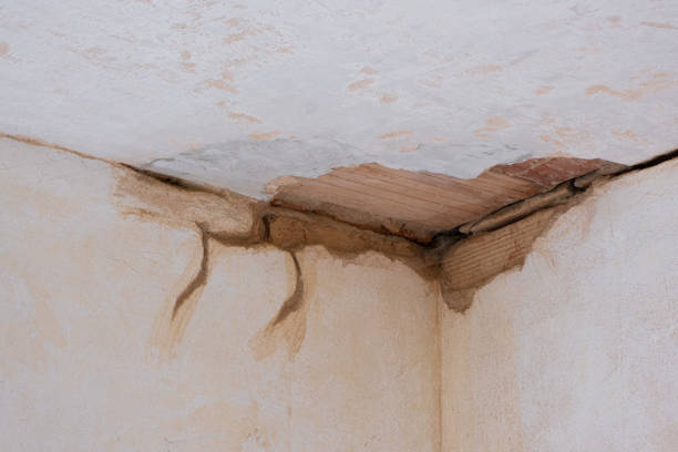 Best Sewage cleanup and water damage restoration  in Hopkins, SC