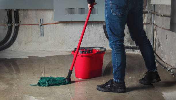 Best Water damage cleanup near me  in Hopkins, SC