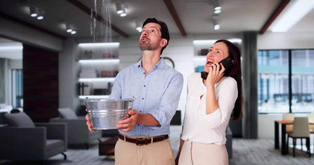 Best Flooded house restoration  in Hopkins, SC