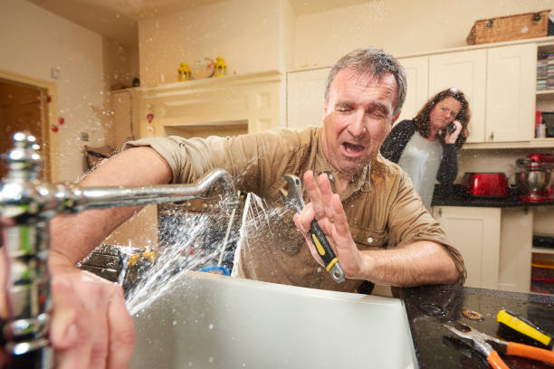 Best Ceiling water damage repair  in Hopkins, SC